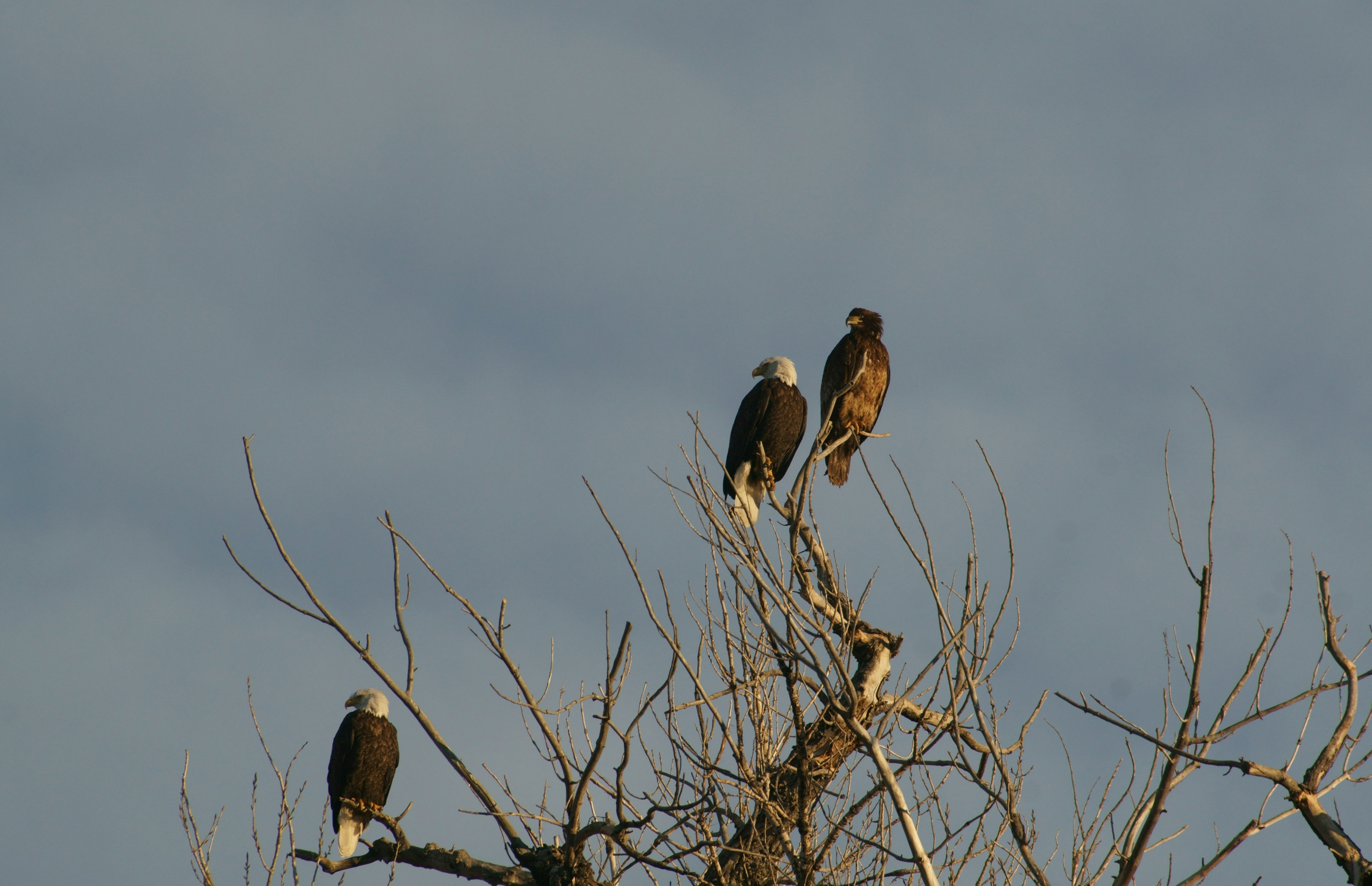 Image taken in Twin Silo Park