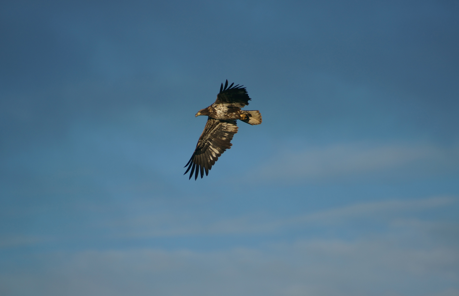 Image taken in Twin Silo Park