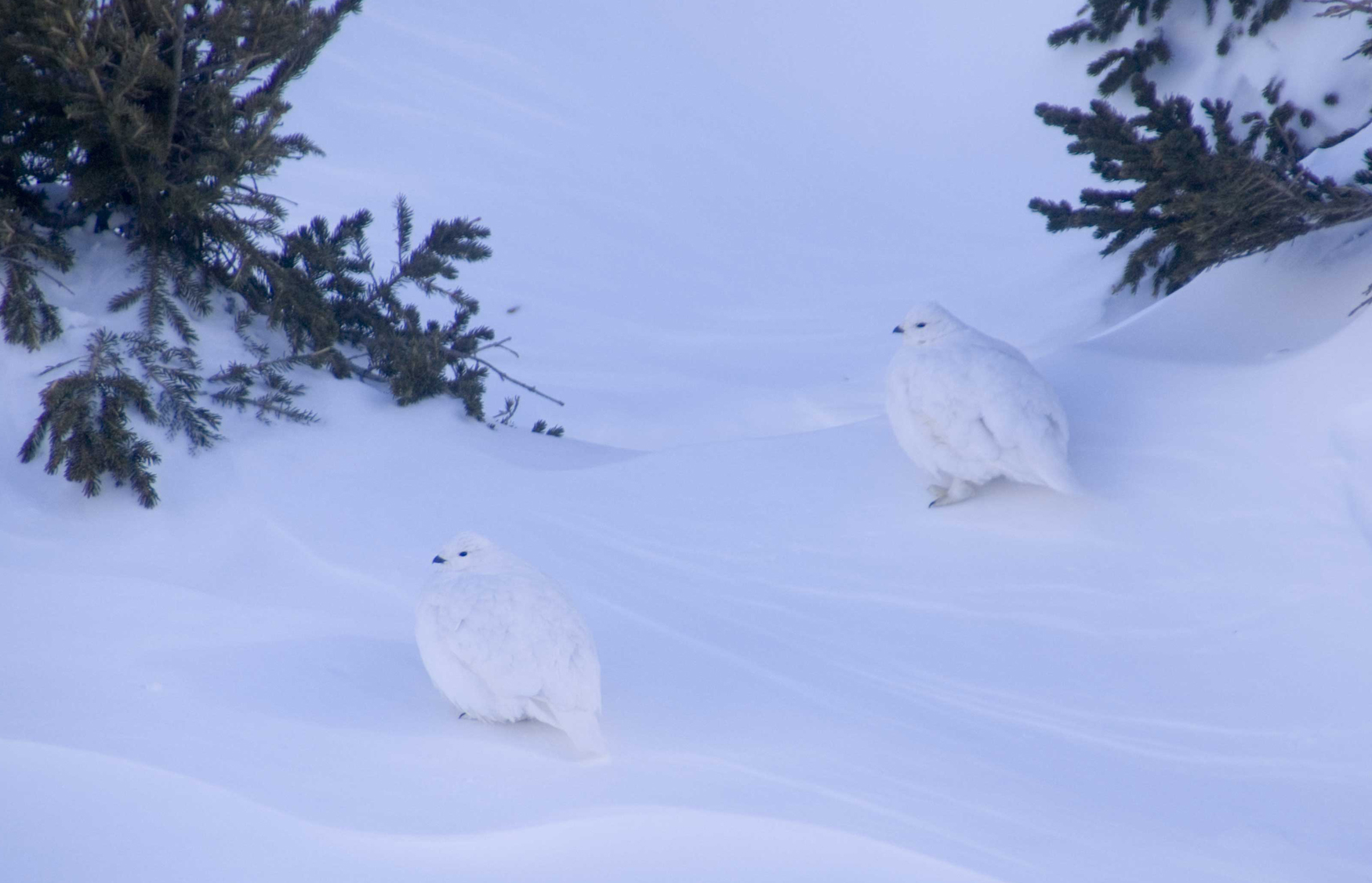 Image taken in RMNP